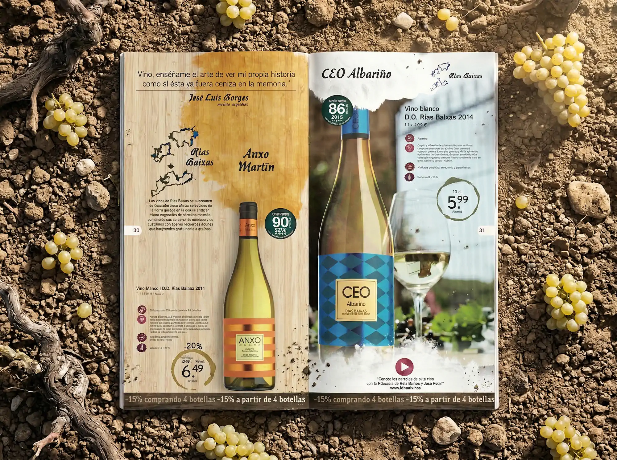 Tierra de vinos — detalle